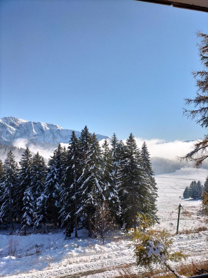 Appartement Le Sorbier A Chamrousse 3 Pieces 6 Personnes Aux Pieds Des Pistes Exterior photo